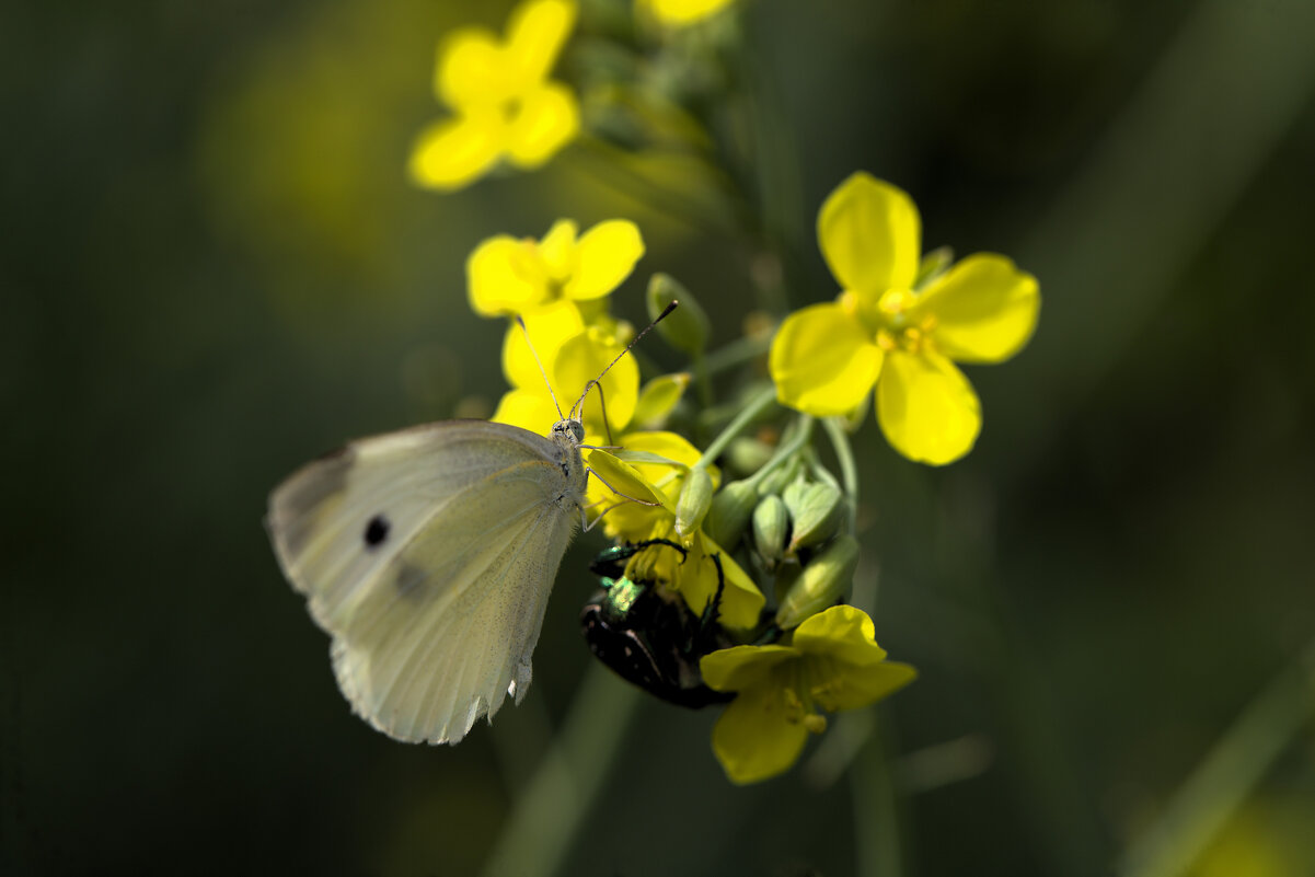 Мне оставь. - Татьяна Салиева