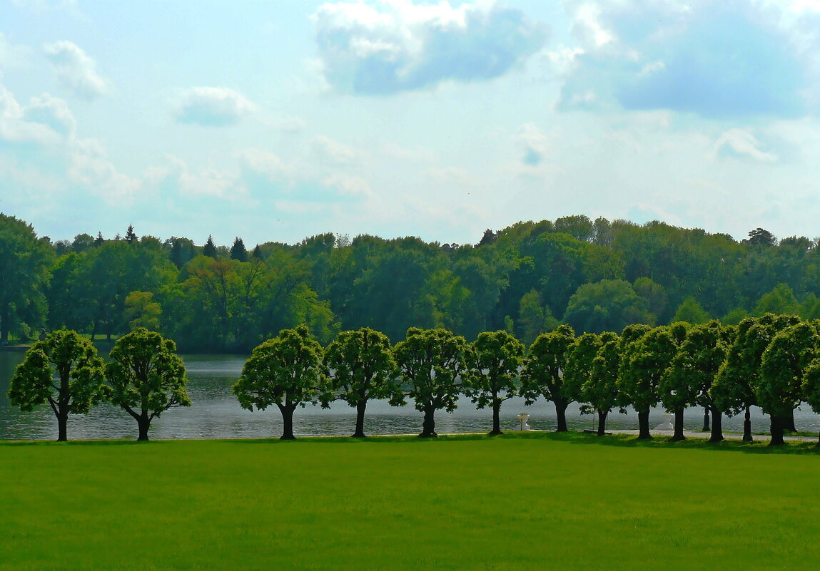 На берегу  пруда в Марьино. - Александр Герасенков