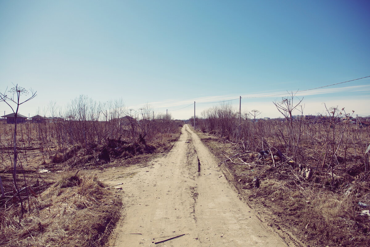 Прочее - Денис Безногов