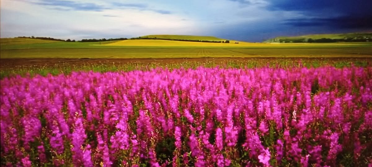 Перед грозой... - Валерий Кокорев