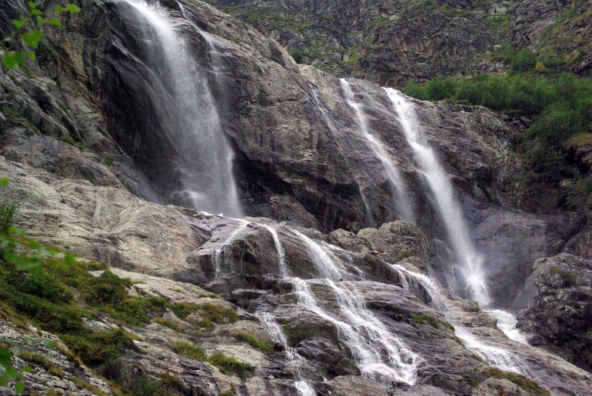 Гармония ... - Андрей Любимов