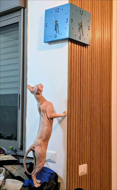 "По-моему, пора ужинать!" - Валерий Готлиб