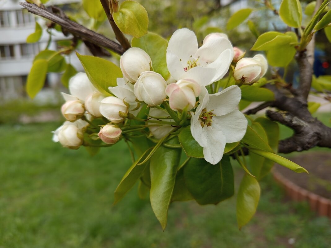 "Им время цвесть, а мне тлести" - Андрей Лукьянов