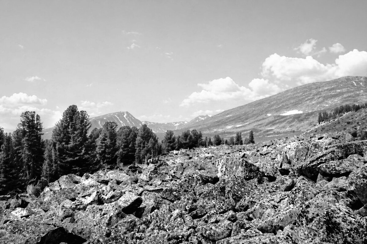 Курумник. Западные Саяны. - Анатолий Пашковский