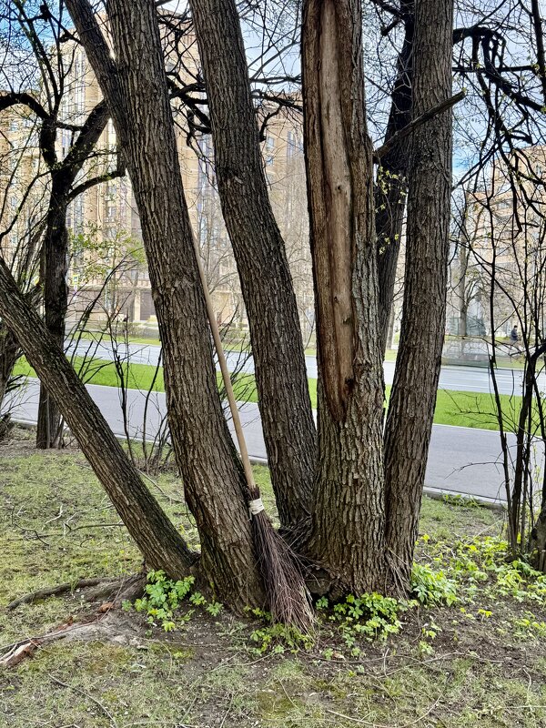 Вернули к прародителям). - Любовь 