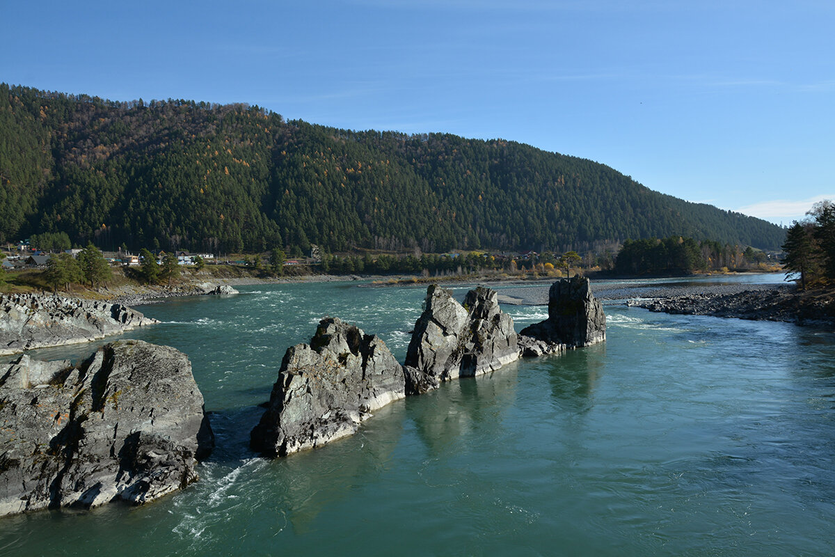 Зубы дракона - Валерий Медведев
