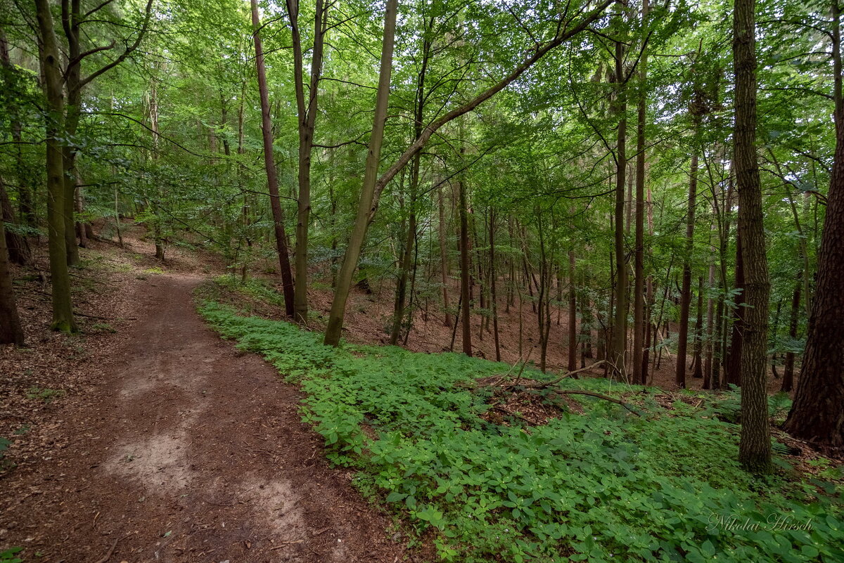 По маршруту... - Николай Гирш