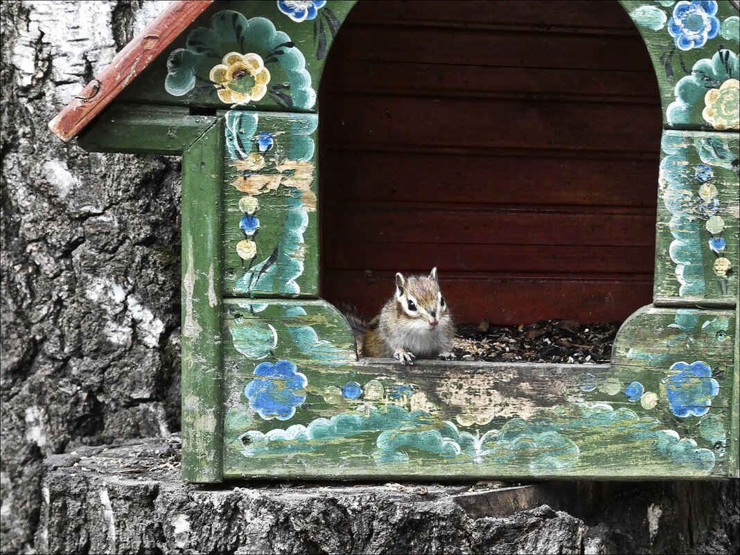 Мой домик... - Валентина *