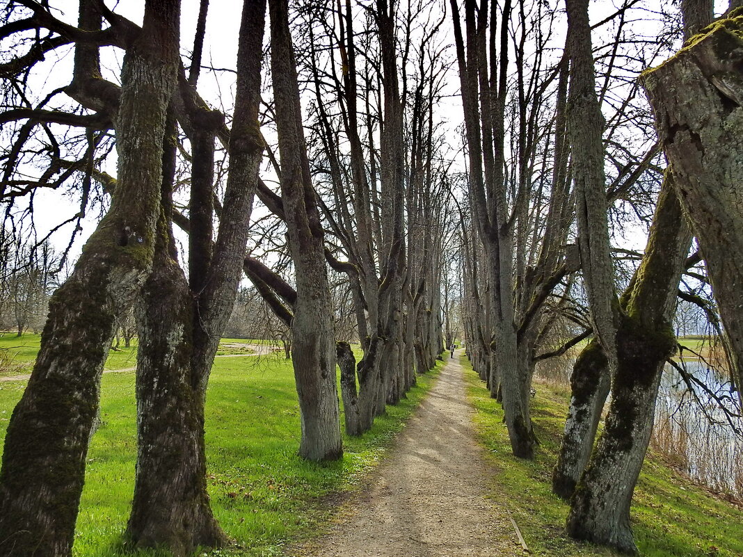 весенние зарисовки - ИННА ПОРОХОВА