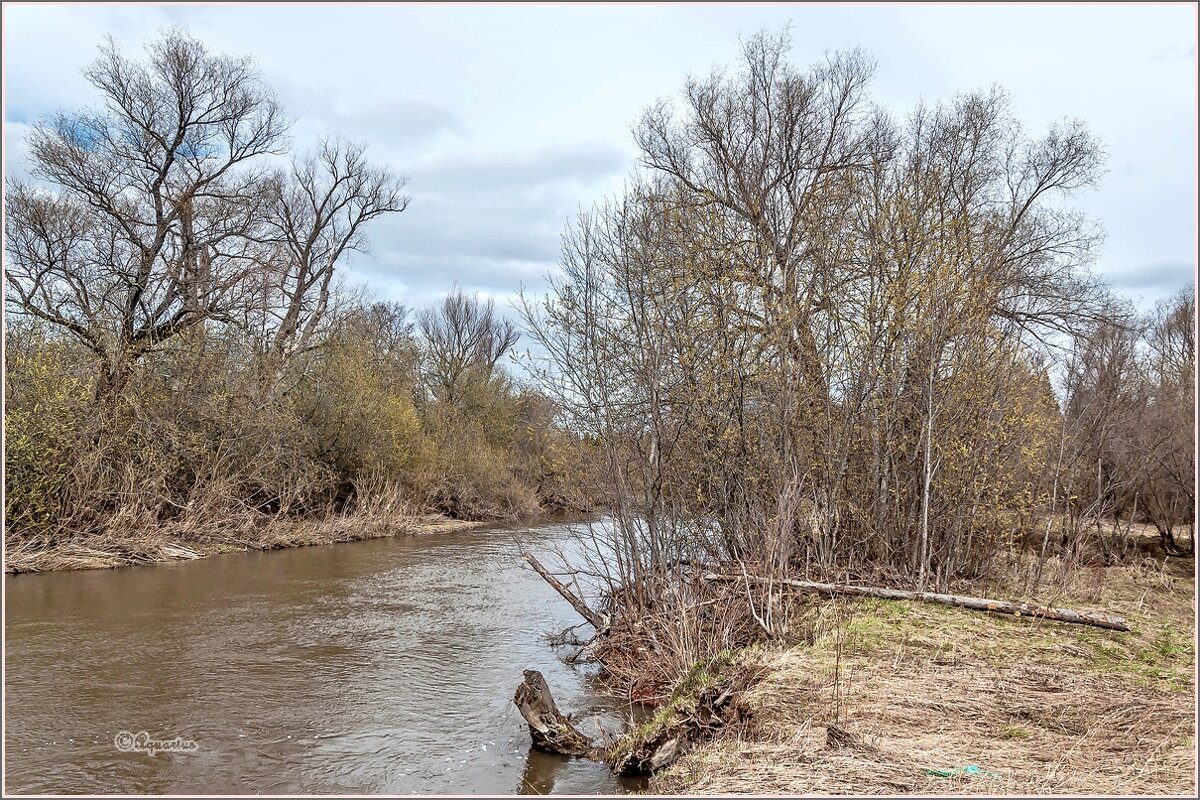Однажды в мае... - Aquarius - Сергей