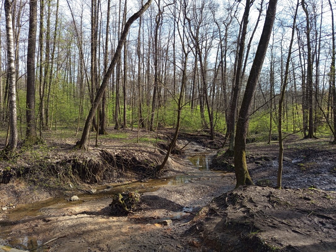 Апрель, который радовал нечасто - Андрей Лукьянов