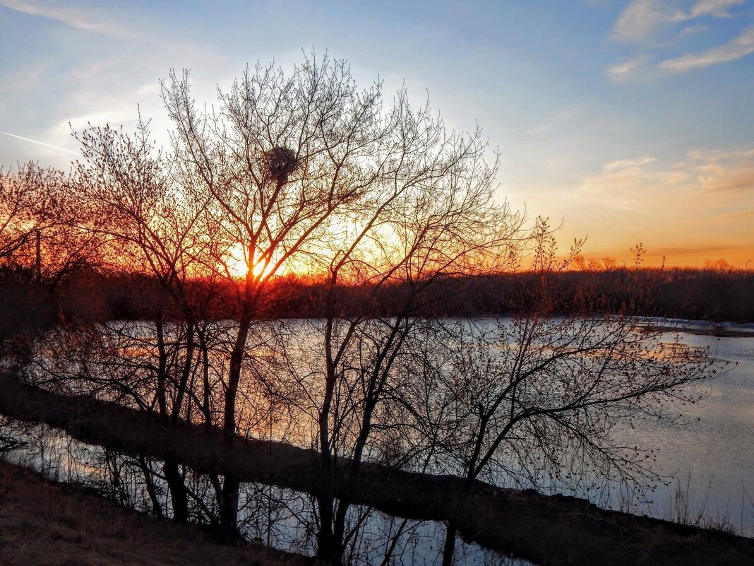 Зари торжественные звуки! - Елена Хайдукова  ( Elena Fly )