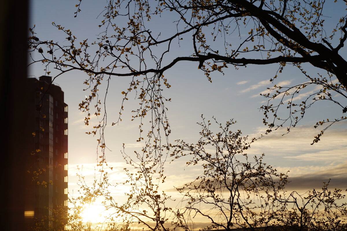 Продолжаем наблюдать за небом - Anna-Sabina Anna-Sabina