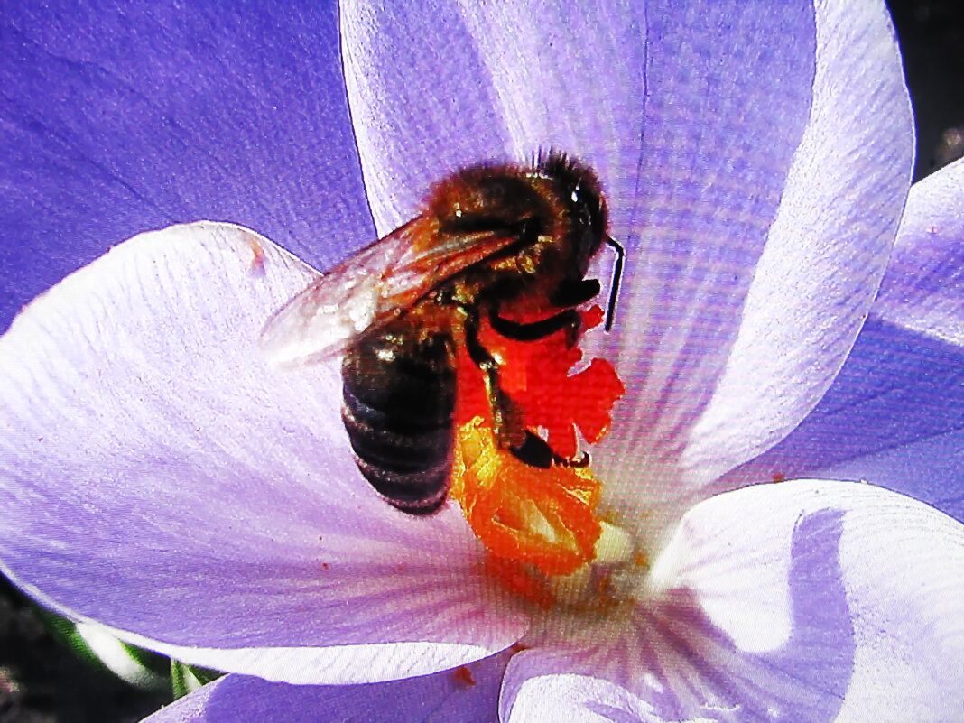 За работой - Людмила Смородинская