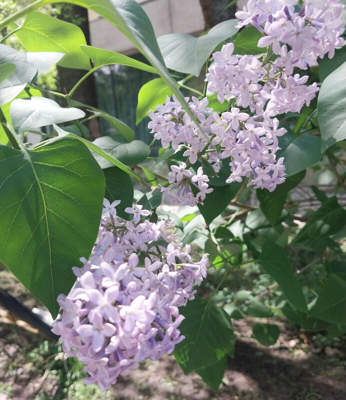 Almaty. - Murat Bukaev 