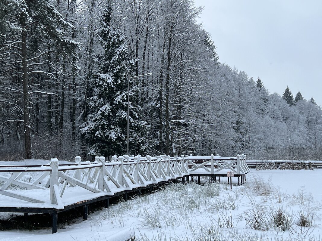После снегопада. - Татьяна 
