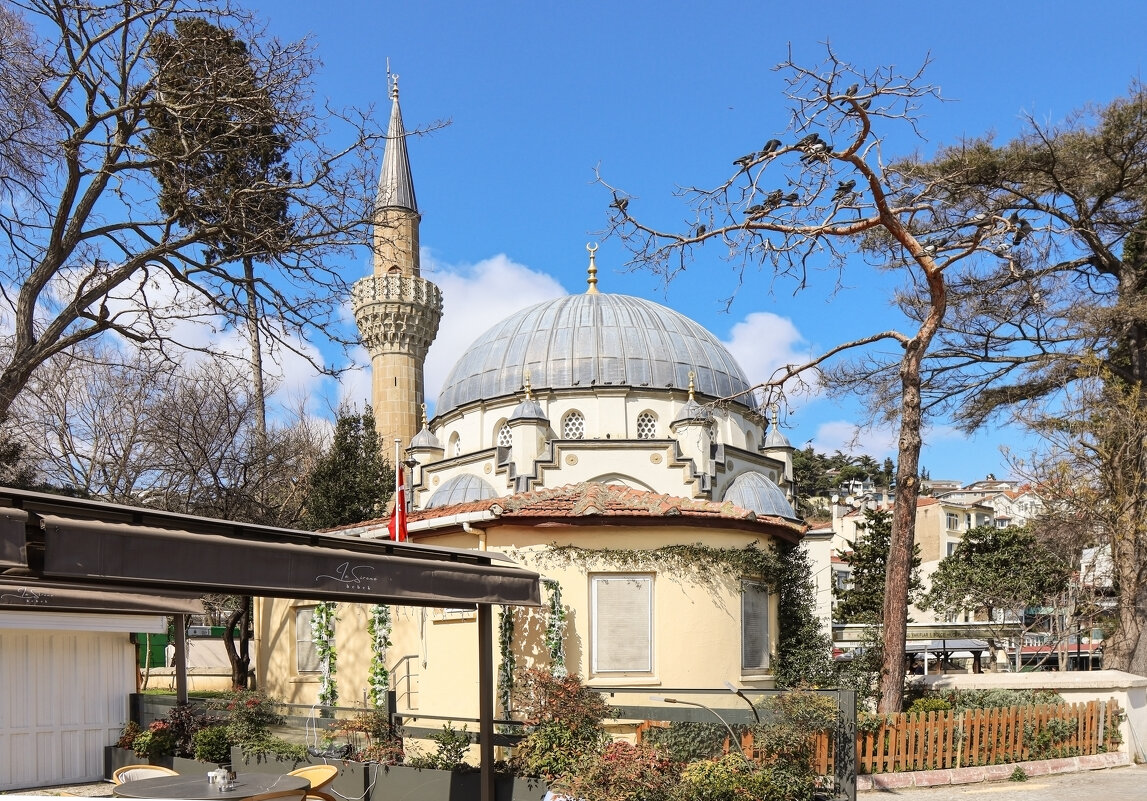 Стамбул - skijumper Иванов