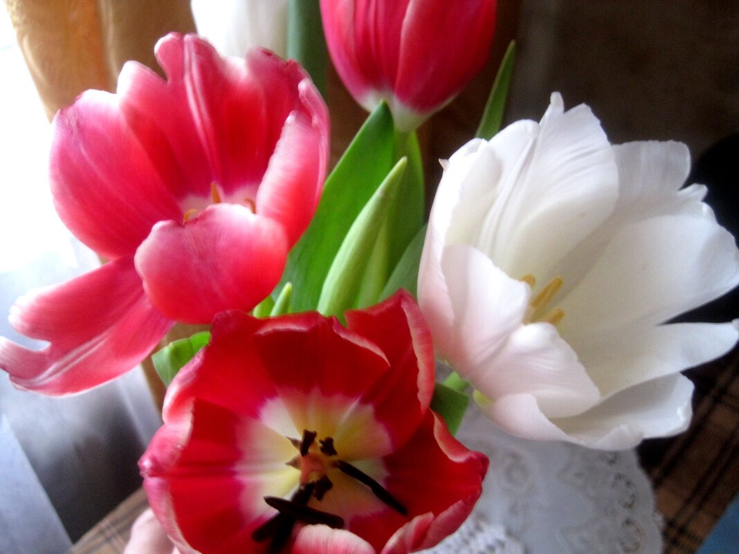 Весенний букет - Елена Семигина