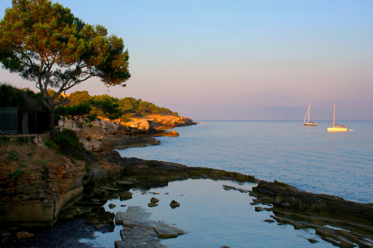 На рассвете - Юрий. Шмаков