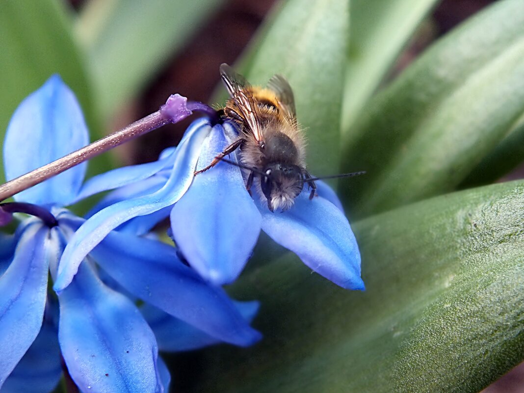 ** - Зоя Мишина