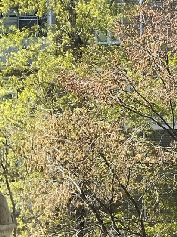 Весенняя светлая палитпа.... - Татьяна Юрасова