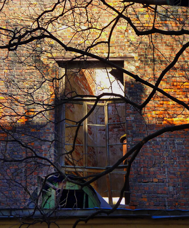 ... - Наталья Rosenwasser