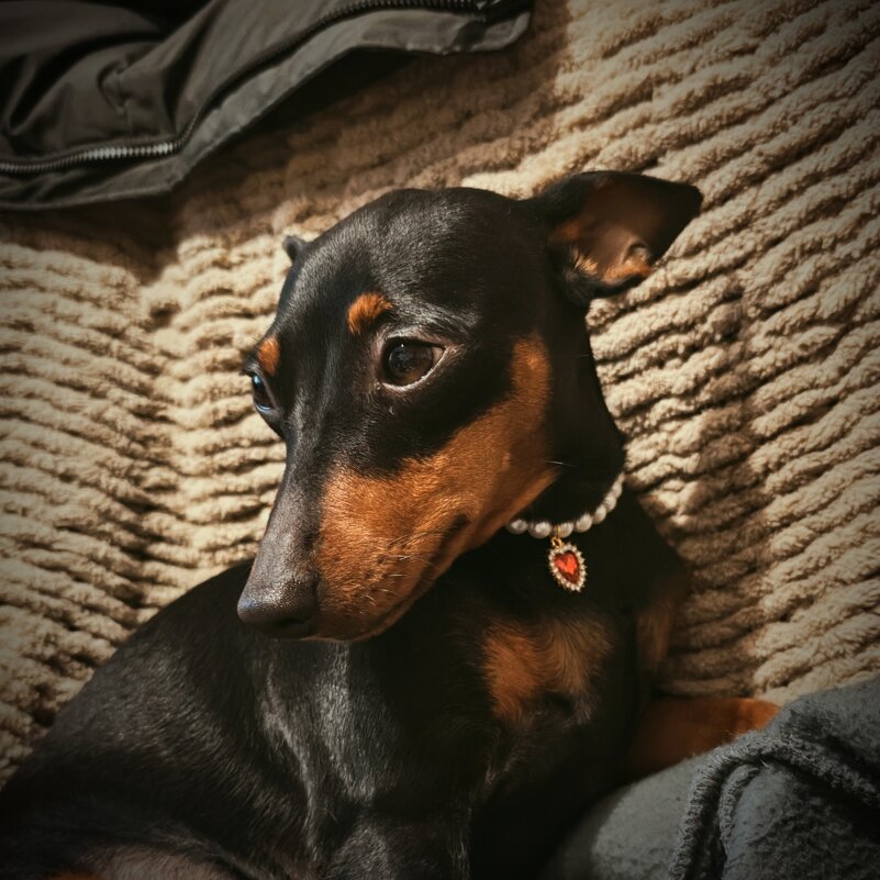 Очаровашка - Evgenia Glazkova