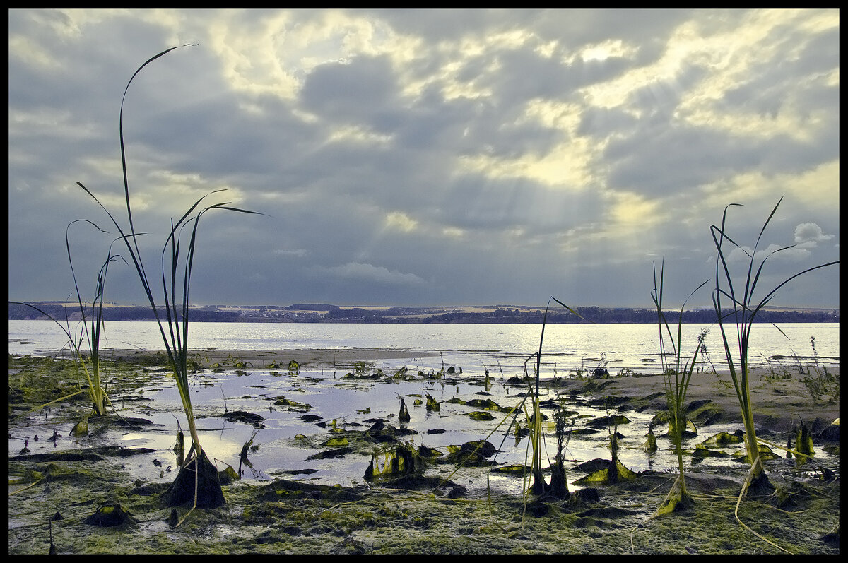 Осенний свет - **** vedin