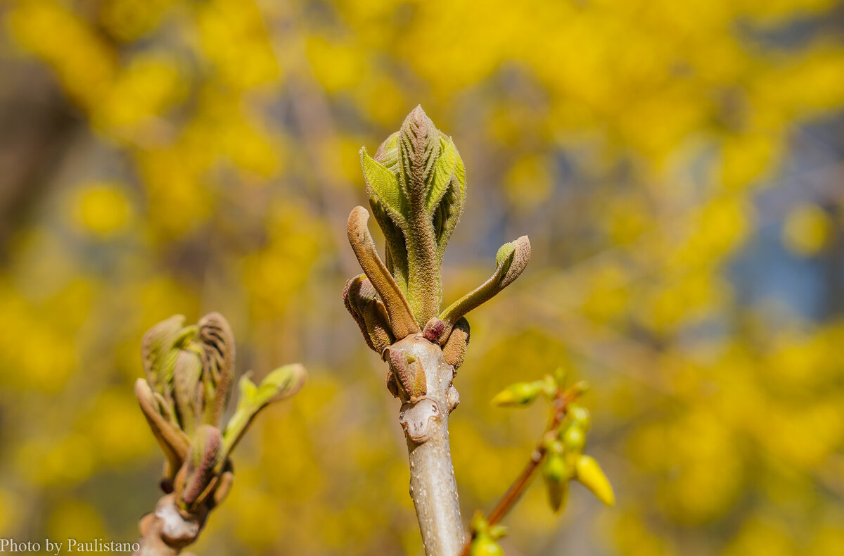 Пробуждение... - Владимир Жданов