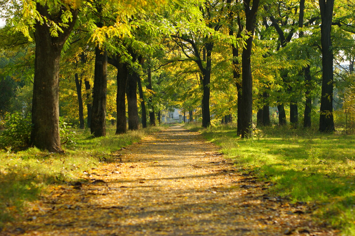 Осенние зарисовки - Олег Кабанец