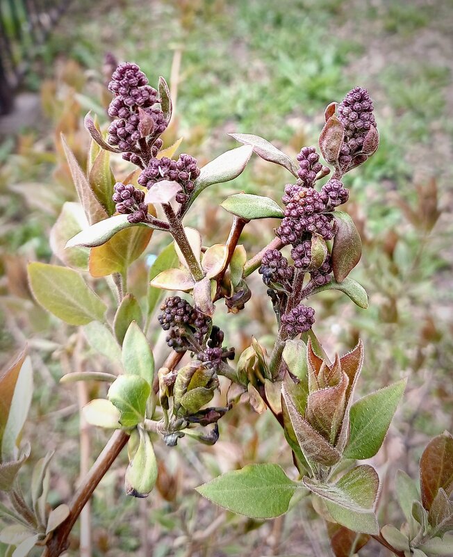 Совсем скоро... - Наталья Герасимова