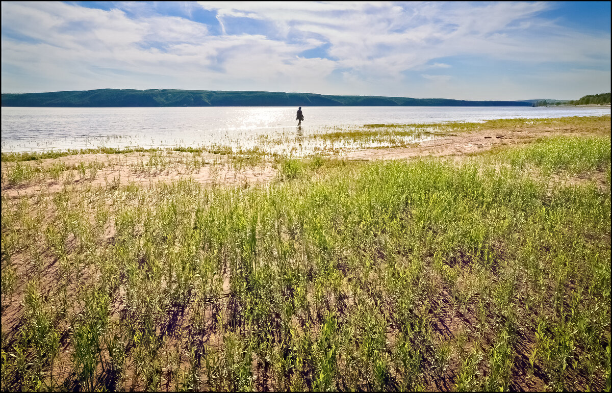 Волга - **** vedin