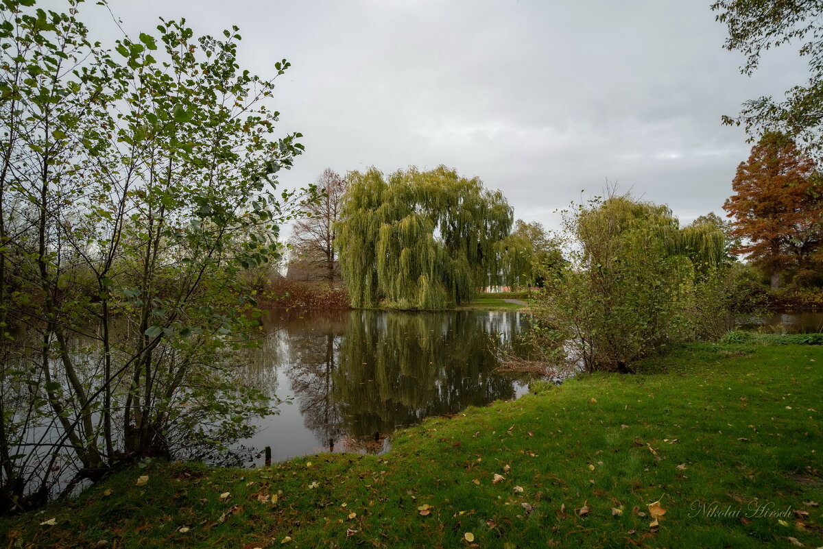 И это ноябрь... - Николай Гирш