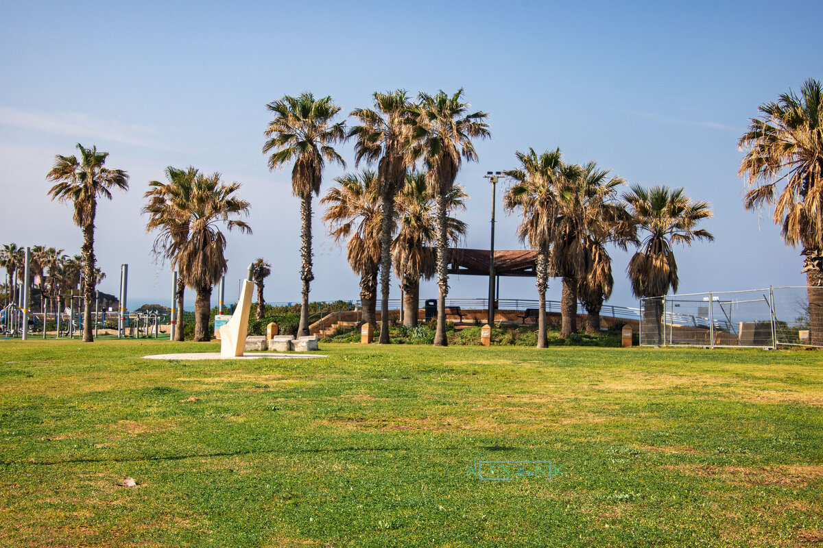 Беседка. - Argaman Табашник