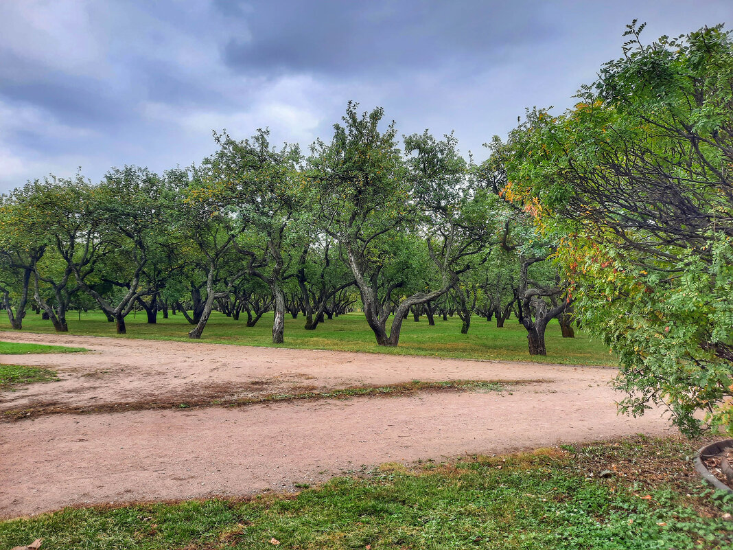 Коломенское - Irene Irene