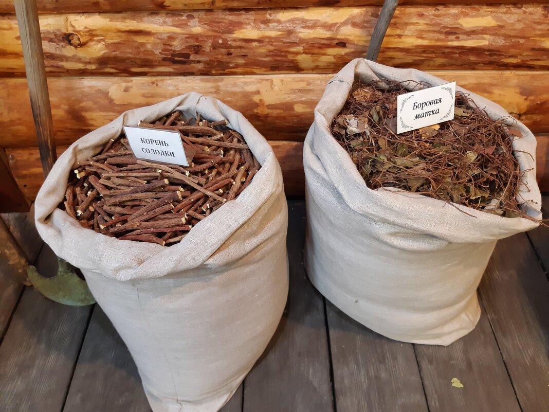 Музей "Травы Байкала" в Иркутске - Галина Минчук