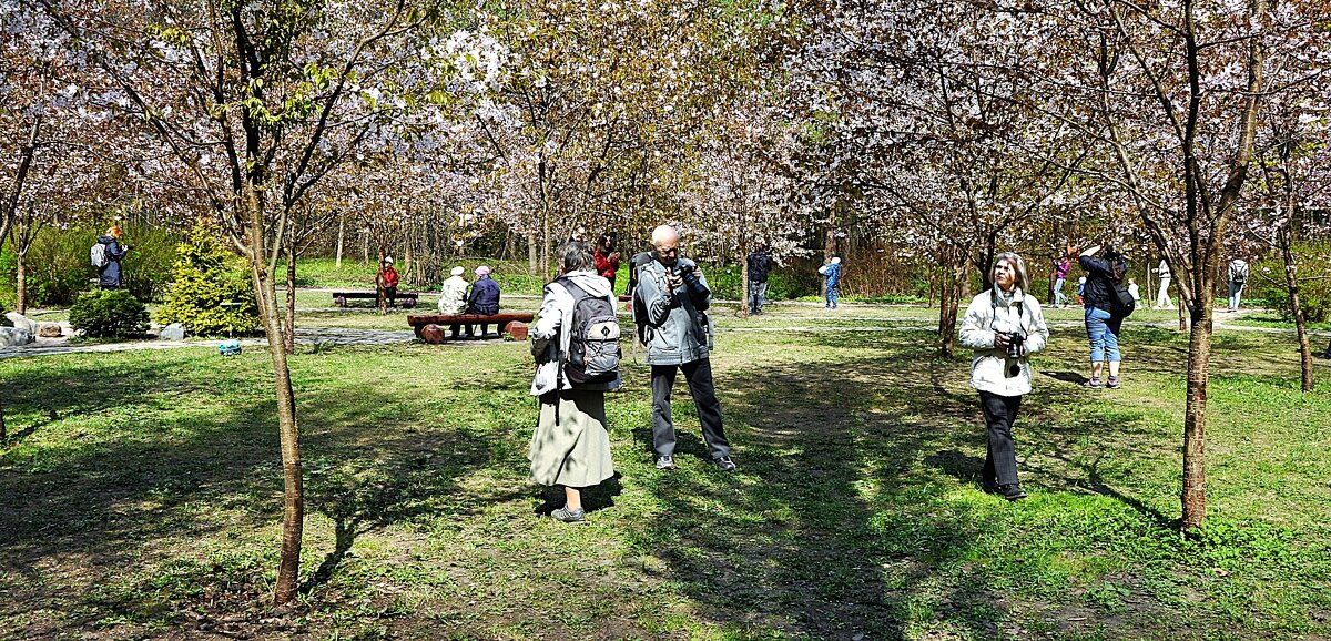 Снова к нам пришла весна,,, - Анатолий Колосов