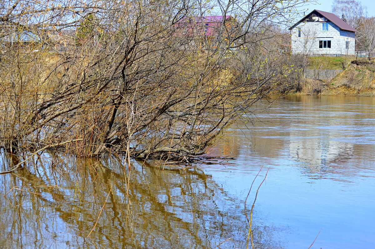 Разлив - Татьяна Лютаева