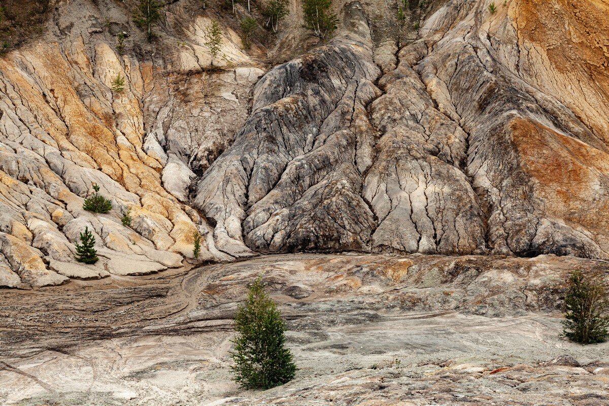 Извилины Земли - Роман Макуха