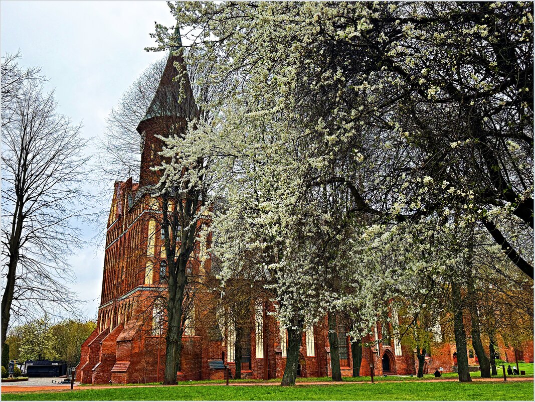 У Кафедрального собора. - Валерия Комова