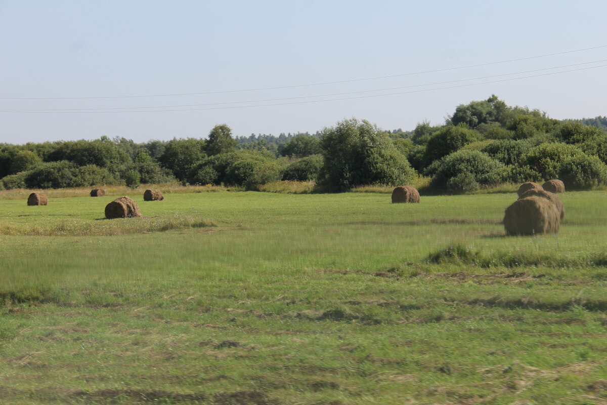 СЕНОКОСНАЯ ПОРА.... - Валентина 