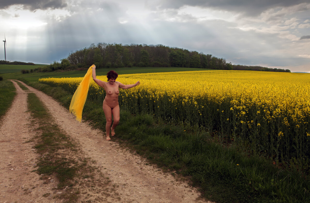 Все дороги ведут домой - Valziwa 