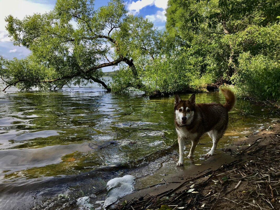 На водных процедурах). - Любовь 