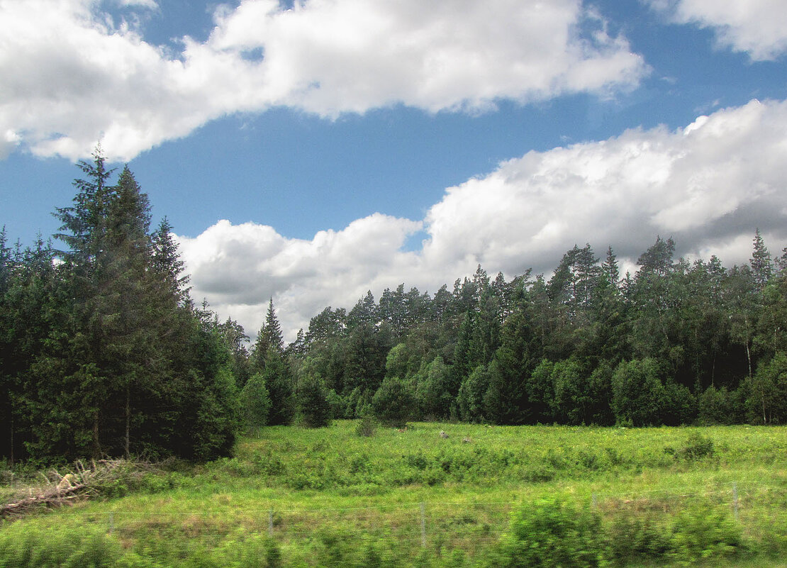 Вблизи местечка Беккарюд (Bäckaryd) - Александр Ильчевский 