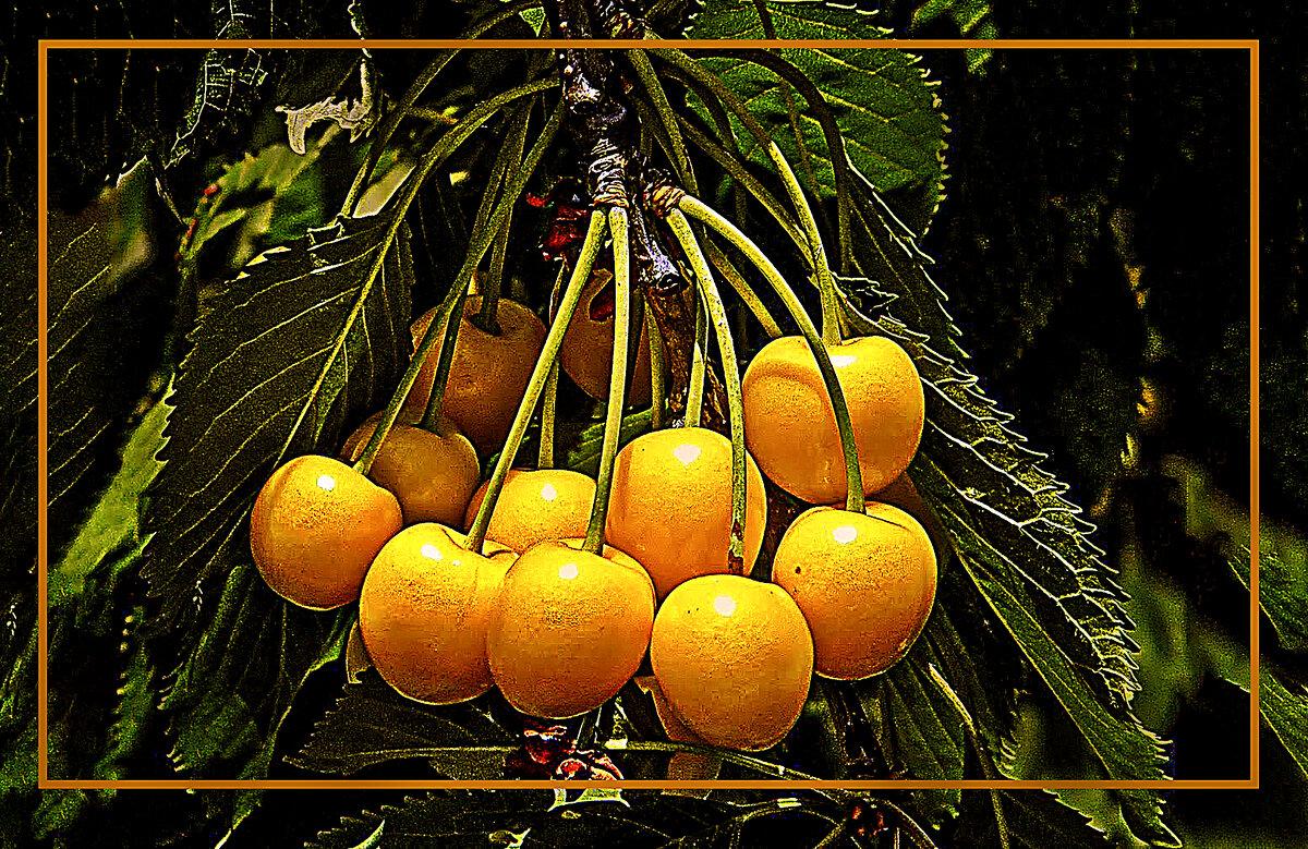 УРОЖАЙ - Владимир Кроливец