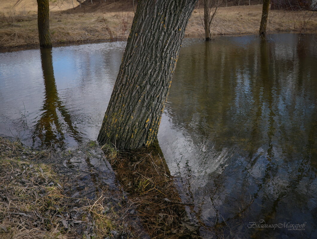 "Бережок. Подтопило"© - Владимир Макаров
