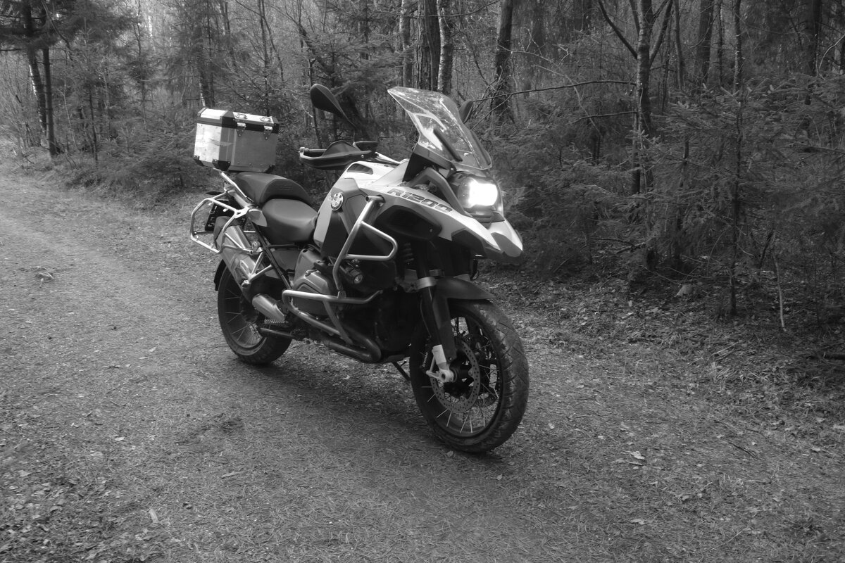 Мечты о ч/б Лейке 110. Весенний БМВ ГС. - Михаил Елочкин