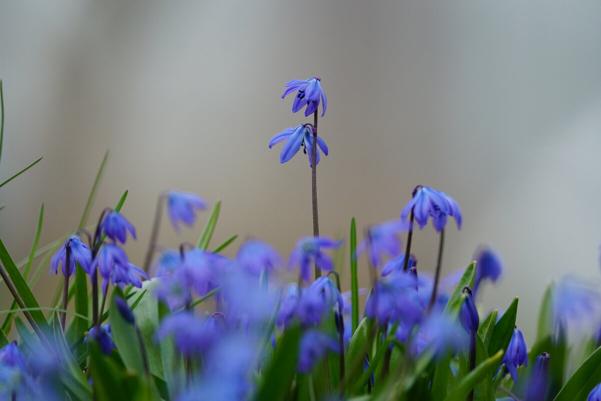 Над остальными - Иван Литвинов