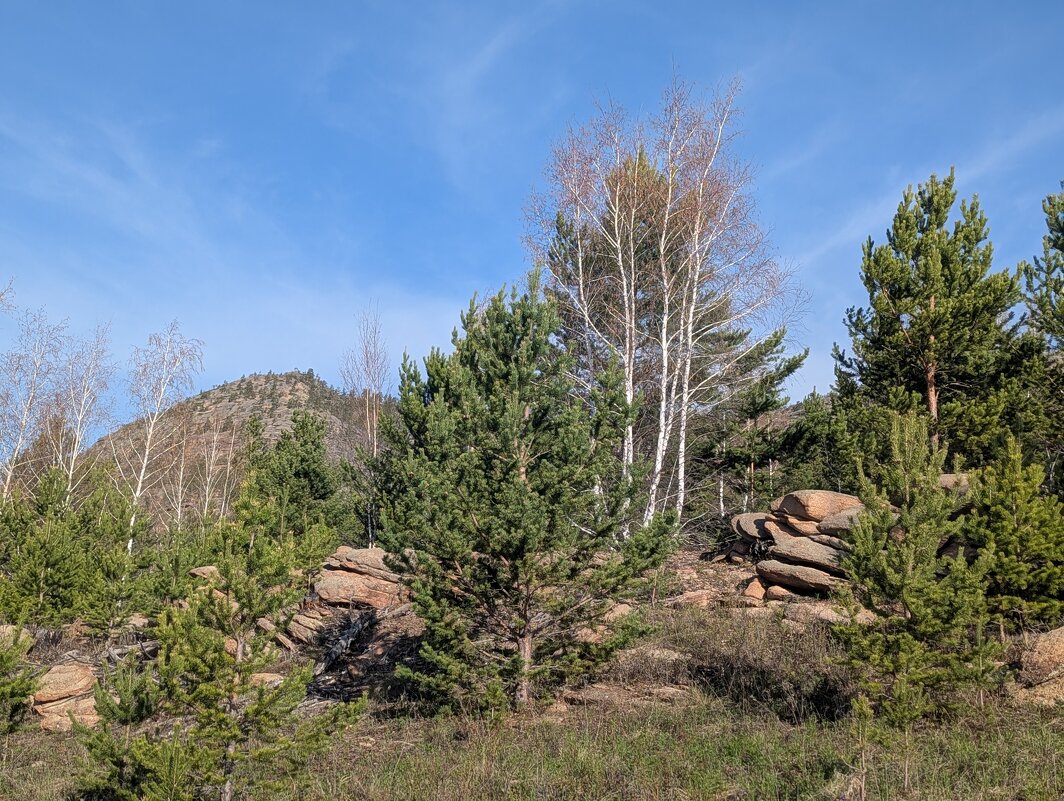 Красивые места Каркаралов - Андрей Хлопонин