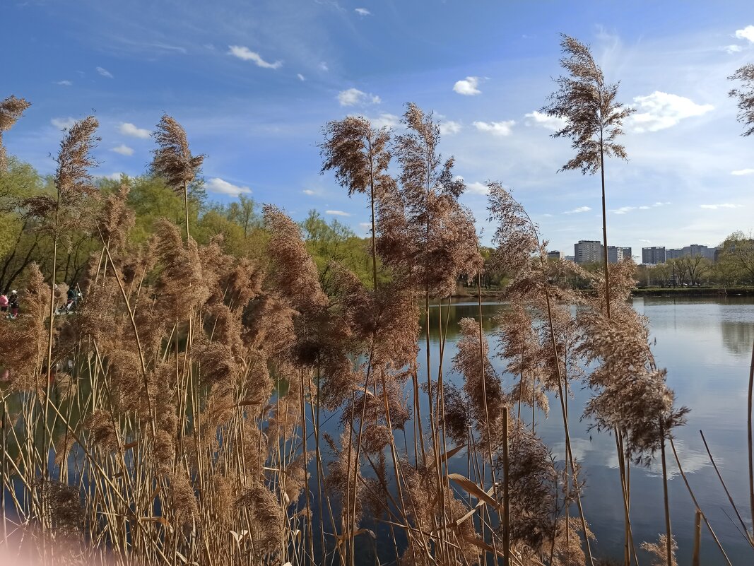 Приметы весны - Галина 